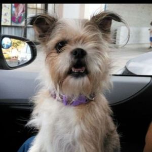 Meet your Posher, Becky